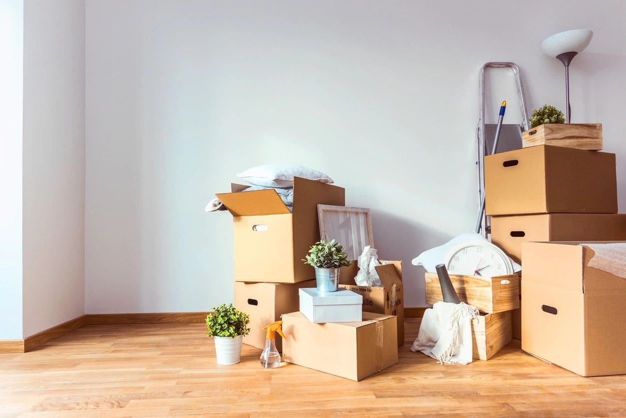 A room with many boxes and plants on the floor